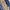 Michael Kors Streetwear Y2K Handbag Wanita navy photo 2