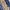 Michael Kors Streetwear Y2K Handbag Wanita Navy