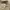Vintage Streetwear Windbreaker Pria tan photo 5