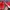 Puma Streetwear Y2K Sneakers Pria red photo 1