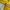 Le Coq Sportif Y2K Casual Track jacket Pria yellow photo 7