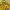 Le Coq Sportif Y2K Casual Track jacket Pria yellow photo 6