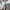 Dickies Streetwear Skater Sweater Pria white photo 2
