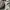 Mardi Mercredi Luxury Sweatshirt Pria gray photo 6