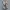 Streetwear Luxury Vest Pria black cream photo 1