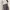 Vintage Mini skirt Wanita navy photo 1