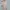 Shein Minimalist Blouse Wanita tan photo 4