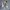 Adidas Luxury Skater Sneakers Pria white black photo 2
