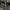 Adidas Streetwear Luxury Track jacket Wanita gray photo 5