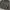 Adidas Streetwear Luxury Track jacket Wanita gray photo 2