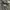 Adidas Streetwear Luxury Track jacket Wanita gray photo 6