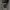 Stussy Vintage Streetwear Sweater Pria gray photo 4