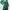 Vintage Blazer Wanita green photo 1