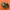 New Balance Streetwear Sneakers Pria green photo 4