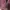 GAP Luxury Hoody Pria burgundy photo 2