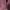 GAP Luxury Hoody Pria Burgundy