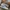 Compass Casual Sneakers Pria white blue photo 2