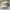Polo Ralph Lauren Casual Hat Pria tan photo 2