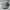 Nike Sportswear Casual Hat Pria gray photo 2
