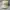 Polo Ralph Lauren Casual Hat Pria tan photo 2