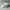 Adidas Sportswear Casual Hat Pria gray photo 4