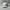 Adidas Sportswear Casual Hat Pria gray photo 1
