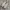 Casual Flat Wanita white photo 1
