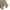 Japanese brand Grunge Fairy Skirt Wanita tan cream photo 3