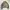 Spao Streetwear Casual Parka Pria green photo 1