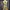 Y2K Fairy Cami Top Wanita Yellow