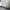 Adidas Sportswear Casual Hat Pria multicolor photo 6