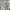 Carhartt Streetwear Casual Pria white photo 5