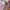 EDWIN Streetwear Short Pria multicolor photo 6
