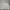 Nike Streetwear Sweater Pria Gray