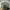 Vivastudio Streetwear Sweater Pria green photo 3