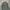 Vivastudio Streetwear Sweater Pria green photo 1