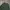 Vivastudio Streetwear Sweater Pria green photo 2