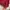 Undefeated Streetwear Skater Windbreaker Pria burgundy red photo 5