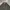 Vintage Harrington jacket Pria black photo 4
