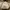 Coquette Casual Crop top Wanita tan cream photo 1