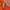 Casual Muslim Wanita orange photo 2