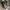 Converse Streetwear Casual Sneakers Pria white black photo 5
