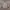 Casual Track jacket Pria gray photo 5
