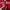 Abercrombie & Fitch Streetwear Hoody Pria Red