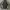 VANS Streetwear Windbreaker Pria black photo 1