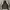 Adidas Streetwear Sportswear Windbreaker Pria Black