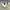 Nike Streetwear Sportswear Windbreaker Pria cream photo 6