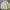 Nike Streetwear Sportswear Windbreaker Pria cream photo 2