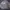 Nike Streetwear Sportswear Windbreaker Pria cream photo 4