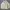Nike Streetwear Sportswear Windbreaker Pria cream photo 1